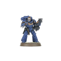 INTERCESORES PRIMARIS DE LOS MARINES ES