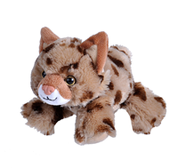 HUG’EMS-MINI BOBCAT Lince