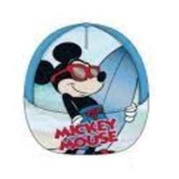 VISERA MICKEY